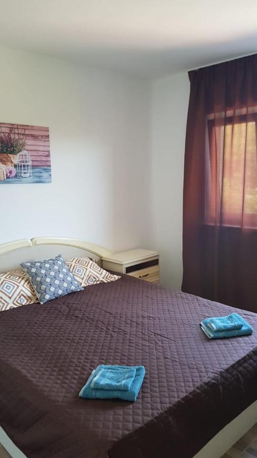 Apartament Mandree Костинешти Экстерьер фото